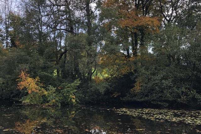 Wire Mill Dam in autumn taken by Andy Wood