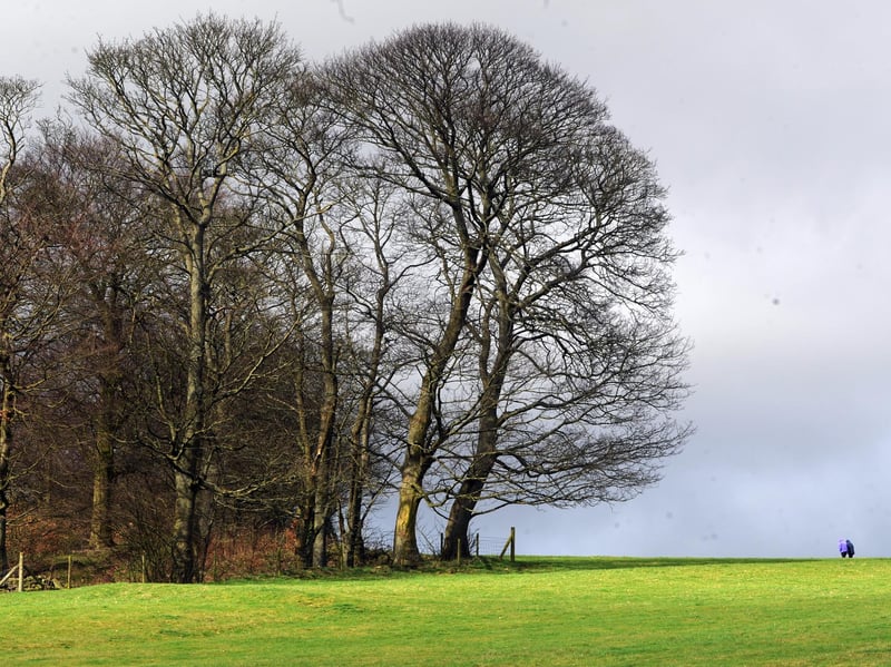 Tony Woolmer nominated this atmospheric, elevated former quarry site, recommending "Rawdon Billing" for those who want a breezy, panoramic look across the local landscape.