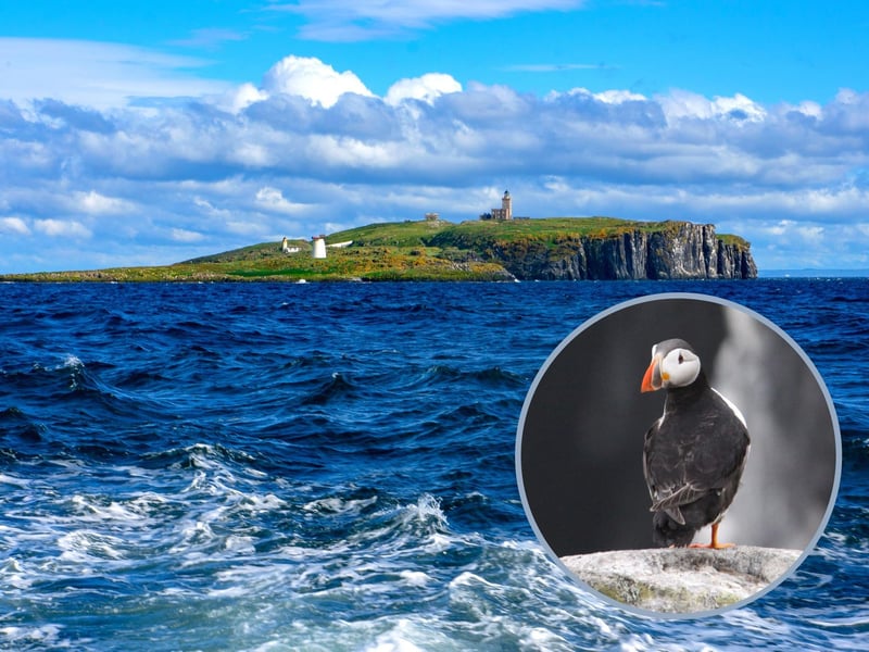 Take a boat from Anstruther and head across the waves to the otherworldly Isle of May. With a name thought to mean 'gull island', it is populated by more than 200,000 sea birds in the summer - including 90,000 puffins. The eastern most of the Forth Isles, this is a place completely taken over by birds, cramming on the cliff ledges and swooping overhead with tiny fish poking from their beaks. A nature reserve also home to seals, May has a history of smuggling and scientific research is conducted on neighbouring isle Rona.