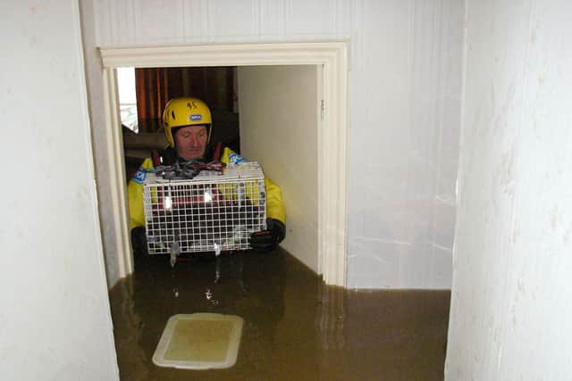 A member of the RSPCA's water rescue team carries a cat to safety after its home is flooded (pic: RSPCA)