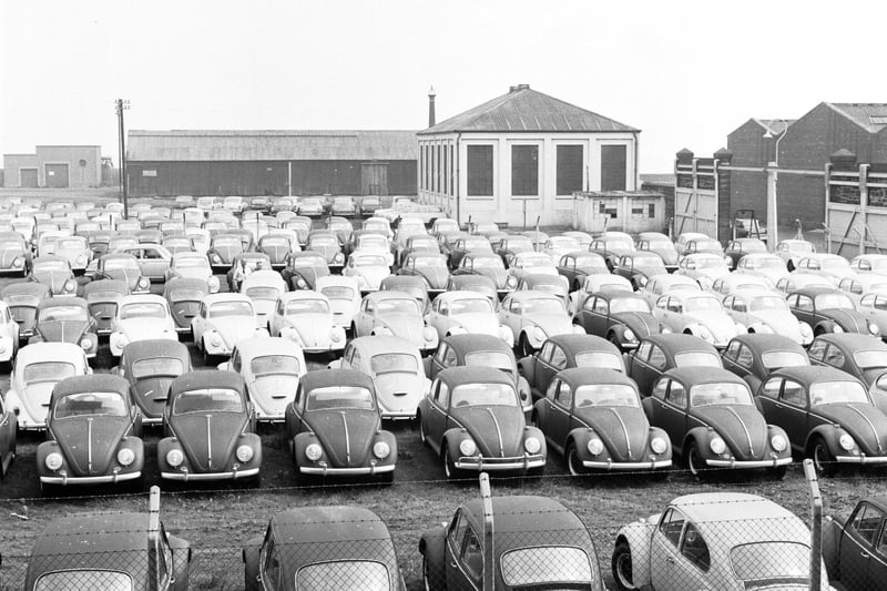  Volkswagens Beetles fill the east end of Leith Docks in Edinburgh in 1966