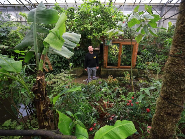 The Tropical Butterfly House, Wildlife And Falconry Centre in North Anston is running a 'monster hunt' trail throughout the half-term holiday - children need to find six monsters hidden around the park to claim a 'spooky sweet reward'. Normal admission applies. (https://www.facebook.com/events/1476748205854395)