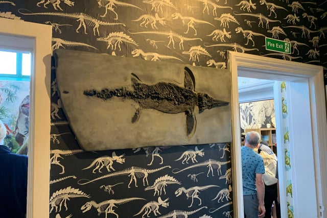 This aquatic looking fossil is mounted on the wall right next to the door and it is the last thing you see as you exit the main room.