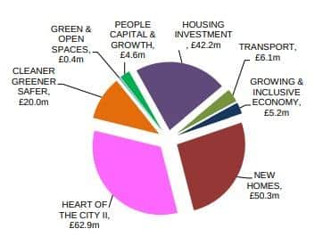 A pie chart of the budget.