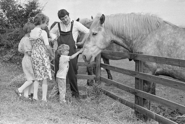 The Vaux horses liked to have their own holiday and here they are in August 1979 with Eric Maddison, 4, saying hello.