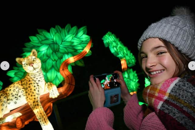 The winter illuminations at Yorkshire Wildlife Park are set to prove popular
