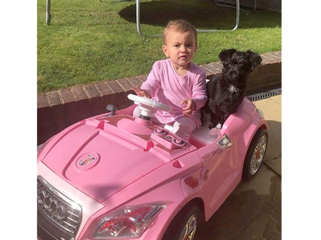 Nine-month-old Jackapoo, Betty, rides shotgun as she cruises round the garden with Kelly Rounds' 17-month-old daughter, Leilane, from Clanfield.