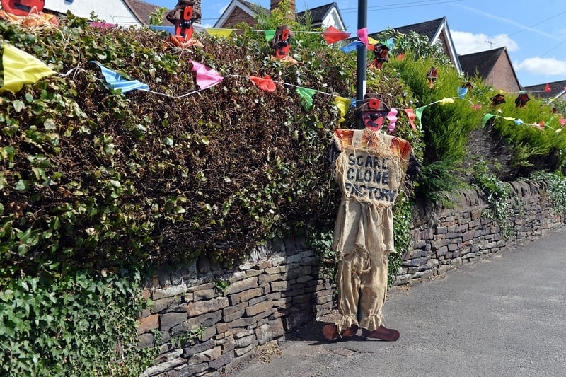 How many clones of this scarecrow can you count? Someone has been very busy making them!