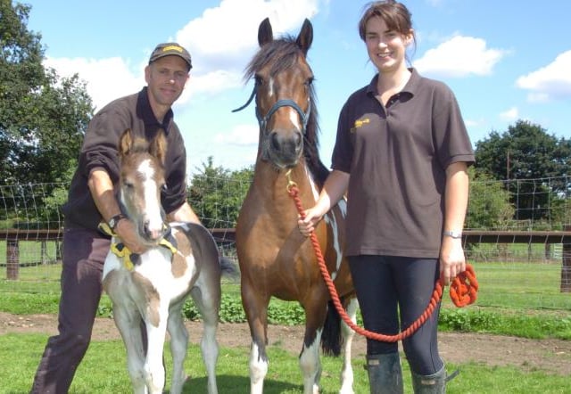 A new foal at Brockholes Farm, 2007.