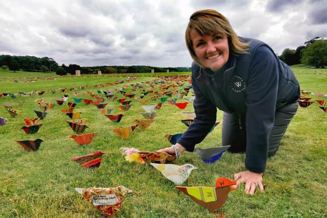 Sarah McLeod looks at some of The Flock of 10,000 decorated birds at stately home Wentworth Woodhouse in Rotherham