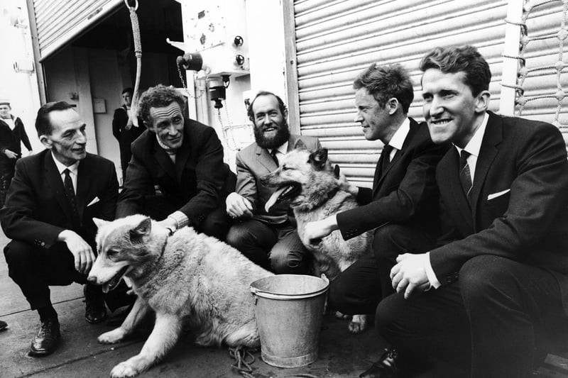 British explorer Wally Herbert, the first man to walk to the North Pole, returns to Portsmouth aboard the HMS Endurance after his 3,800 mile trek across the Arctic, 23rd June 1969. From left to right, his team are squadron leader Freddie Church, general assistant Alan Gill, group leader Herbert, glaciologist Roy Koerner and medical officer Kenneth Hedges. With them are two of the expedition's huskies, Eskimo Nell and Apple Dog. (Photo by Ron Case/Keystone/Hulton Archive/Getty Images)