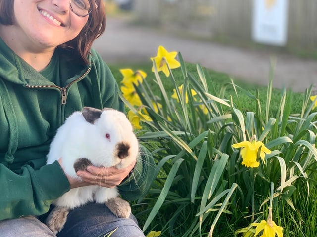 Animal encounters will be back on, allowing visitors to feed and get up-close and personal with the animals