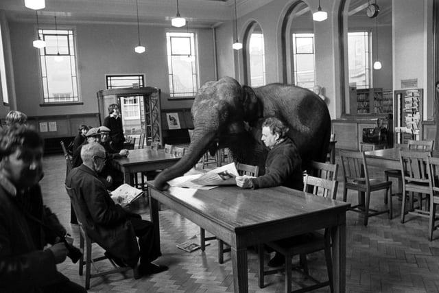 Indras the elephant at Leith Public Library in January 1976 as part of a campaign to remind people to return their books.