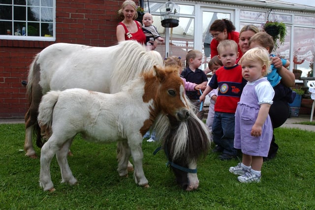 Shetland foal Babe and her mum Mary were the visitors to the Horseshoe Day Nursery 18 years ago. Were you in the photo with them?