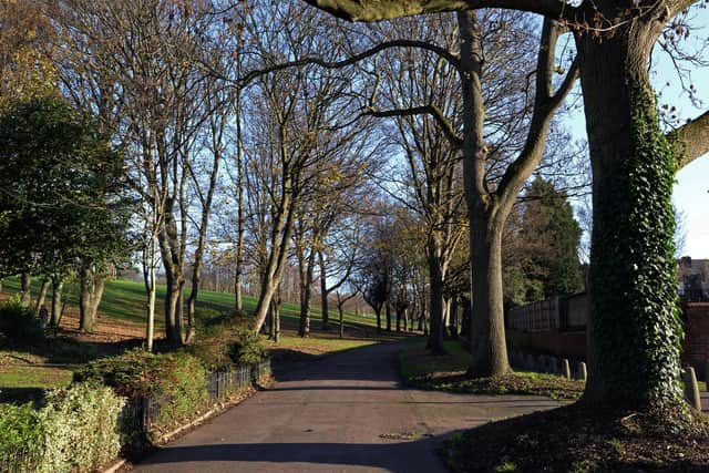High Hazels Park, Darnall.