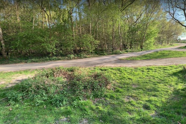 Bestwood Country Park Circular is a picturesque 5.0 kilometre loop trail located near Hucknall.