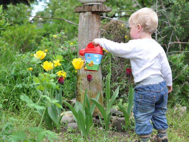 10 Easy gardening hacks you need to know during Covid lockdown.