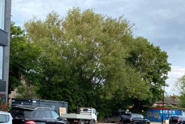 A picture from HLM Architects of the site of a development on Little London Road, Sheffield. Sheffield City Council approved plans to build 14 apartments, two business units and a riverside walk on the site, despite 90 objections