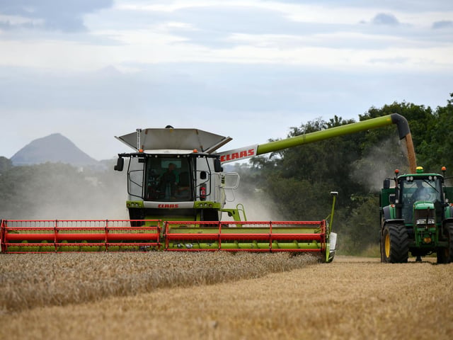 Wheat harvest at Wheatrig Farm, Longniddry.
