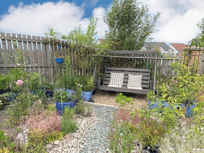 Rear garden.