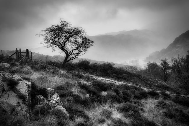 First place went to Dawn Robertson for ‘Tree Honister Pass’. This image says everything about Honister on a not-so-good day: stark, moody, cold, wet, desolate, isolated. Beautifully composed with the light in the image used to the very best effect.