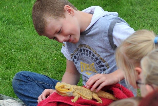 A youngster petting a lizard from Party Animals during the Teddybear's Picnic at Welfare Park in Horden. Remember this from 2012?