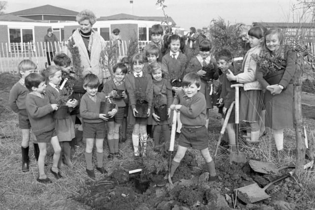Pupils at Holy Family School, Ingol, have been digging deep to spruce up their surroundings. Youngsters, joined by members of Preston's Keep Britain Tidy group, planted £200 worth of shrubs and trees in the school's garden. Four-year-old Lee Monks, centre, is pictured planting the first tree