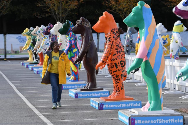 The Big Bears of Sheffield make for a colourful sight.