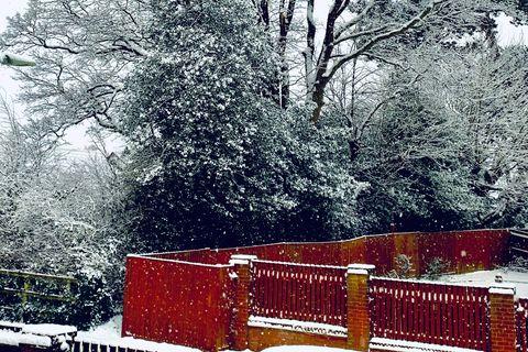 Snowy scenes in Petersfield. Picture: Imogen Swain