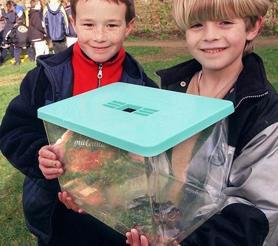 Children from Wisewood Primary School at the launch of the Sheffield Wildlife Trust's frog survey. Pupils John Trueman and Spencer Moore are seen with a tank with frogs in on March 1, 2000