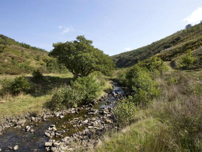 This wee burn is enough to get anyone writing Romantic poetry.