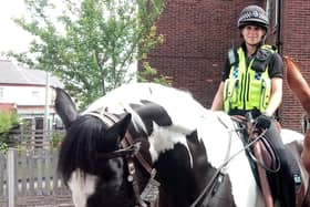 Michelle Hudson on police horse Treeton