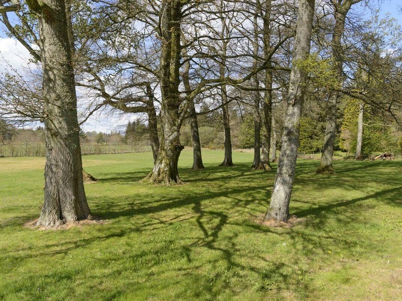 Grounds.