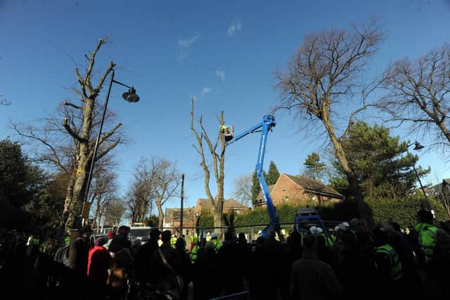 8 March 2018....... Tree protests on Kenwood Road in the Nether Edge area of Sheffield. Picture Scott Merrylees