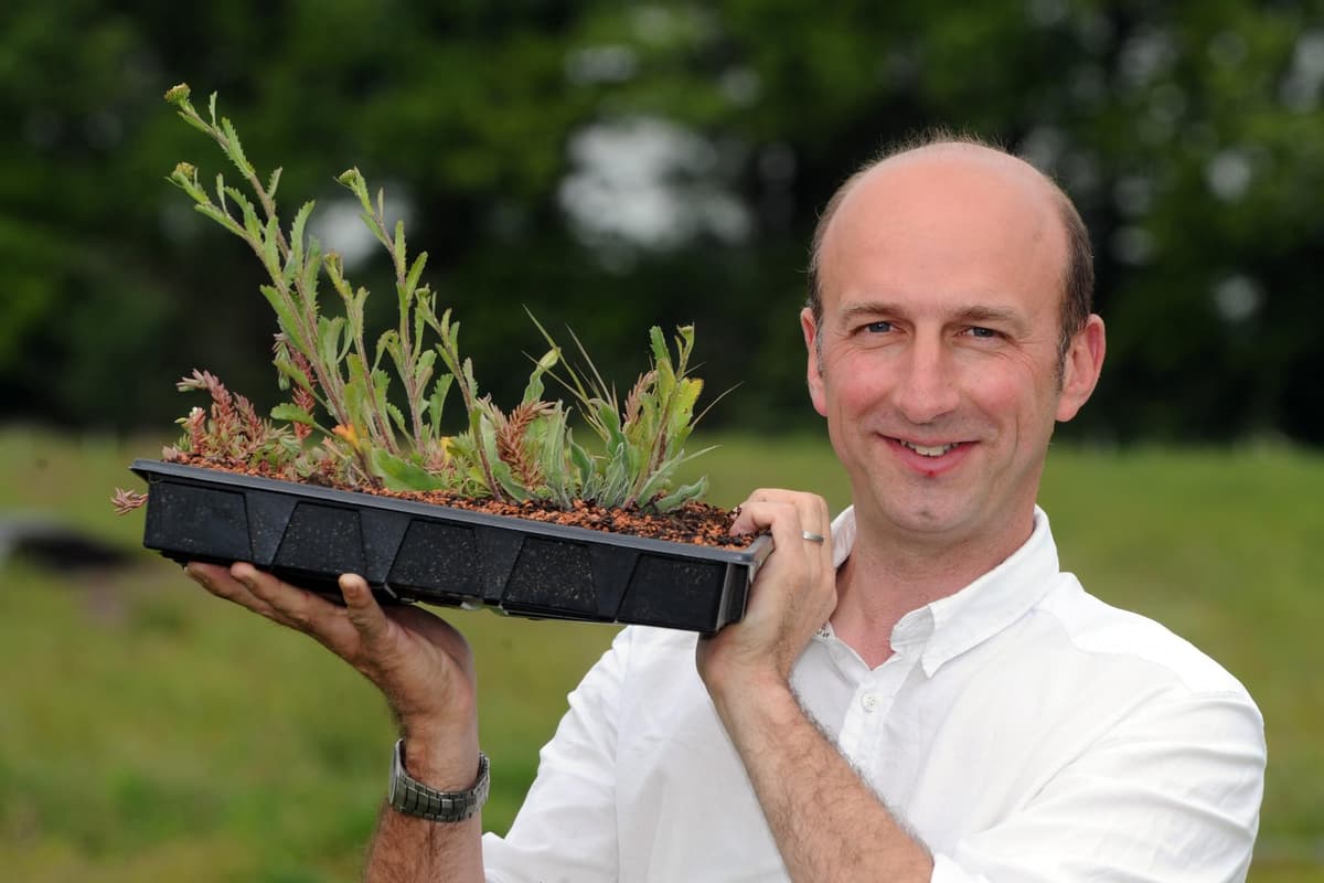 Gardening world pays tribute to Sheffield architect Nigel Dunnett after ...