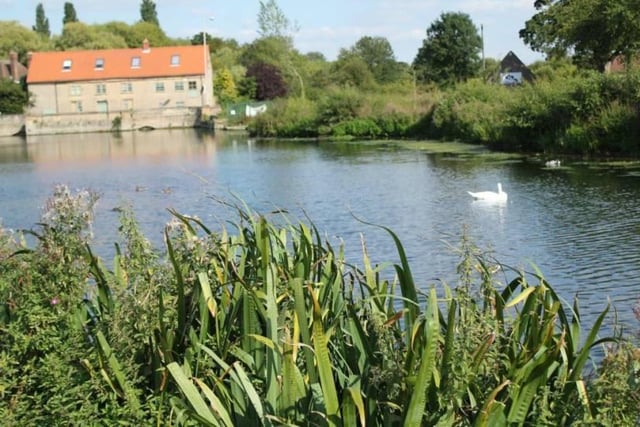 It's often forgotten that Mansfield has a number of nature reserves where you can explore the wonderful world of wildlife. One of them is The Carrs in Warsop, a former water meadow by the River Meden that also features recreational and play areas and a stunning mill pool. Marvel at a diverse mixture of habitats.