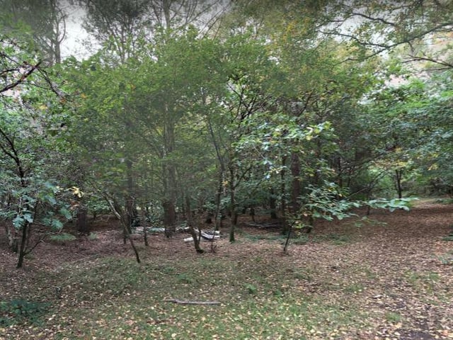 Clumber Park