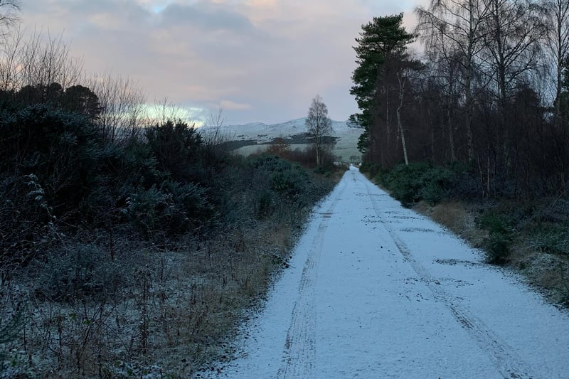 This snowy picture was taken this morning in Balblair Woods near Golspie in Sutherland.