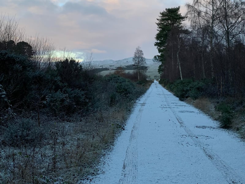 This snowy picture was taken this morning in Balblair Woods near Golspie in Sutherland.