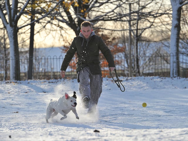 Glasgow Green and winter weather. Man playing with his dog, November 27, 2010.