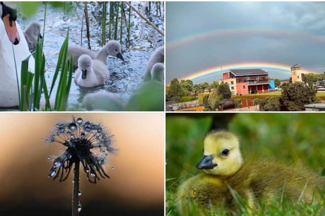 Great photos from Doncaster people.