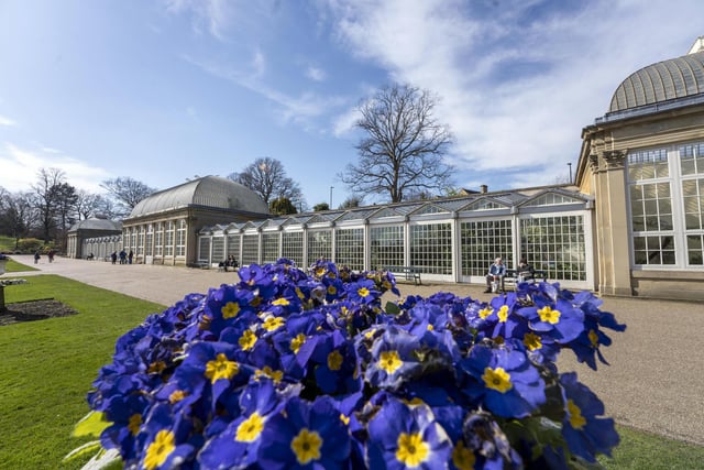 Sheffield's Botanical Gardens are now open in their normal summer hours: 8am till 7:45pm on weekdays, and 10am till 7:45pm at weekends and Bank Holidays. Gardeners managed to keep them open on winter hours throughout lockdown.