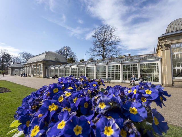 Sheffield's Botanical Gardens are now open in their normal summer hours: 8am till 7:45pm on weekdays, and 10am till 7:45pm at weekends and Bank Holidays. Gardeners managed to keep them open on winter hours throughout lockdown.
