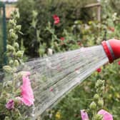 A hosepipe ban could be implemented in regions of the UK. (Photo by Matt Cardy/Getty Images)