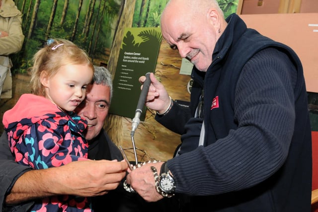 The new Californian King Snake is introduced to Lily Graham and her grandfather Gordon Rushworth, by South Shields Museum and Art Gallery assistant Angus McDonald in this photo from 2013.