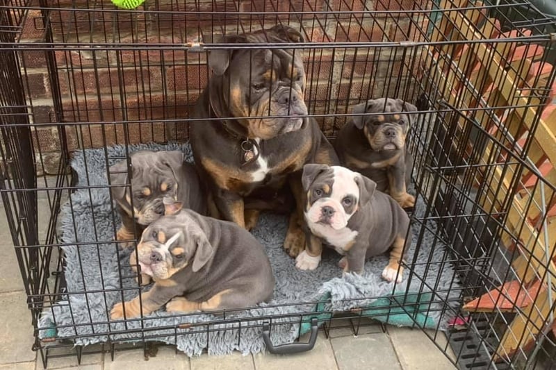 Doris looking after her baby brothers and sisters.