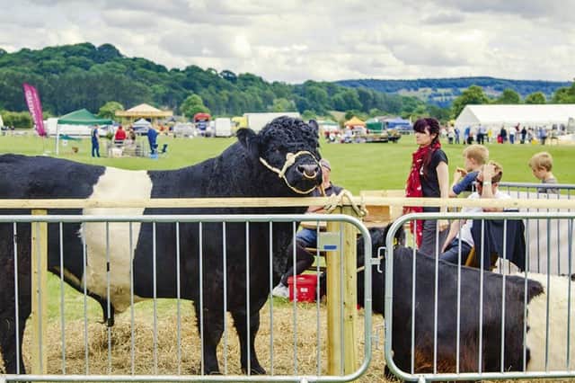 Meet live animals at Bakewell Country Festival.