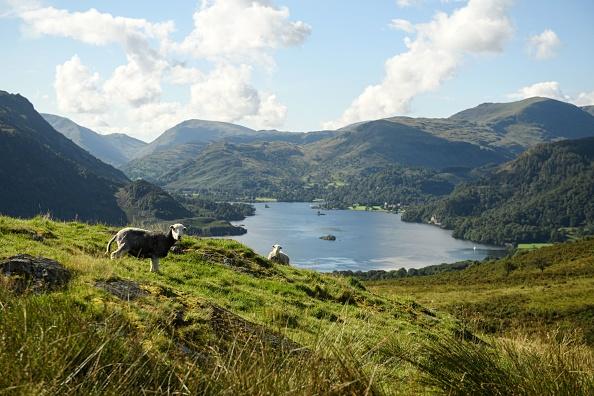 Judy Reddish, said: "I'd love to visit the Lake District or Skye."