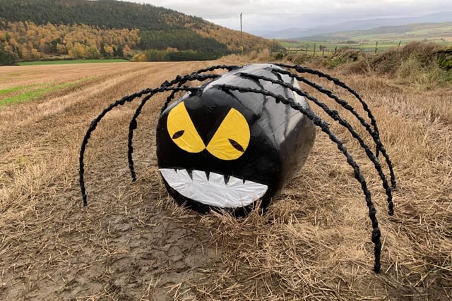An original take on Halloween decorations this year has been spotted up in Tarland with this enormous spider crafted from a hay bail on a farmer's piece of land.
