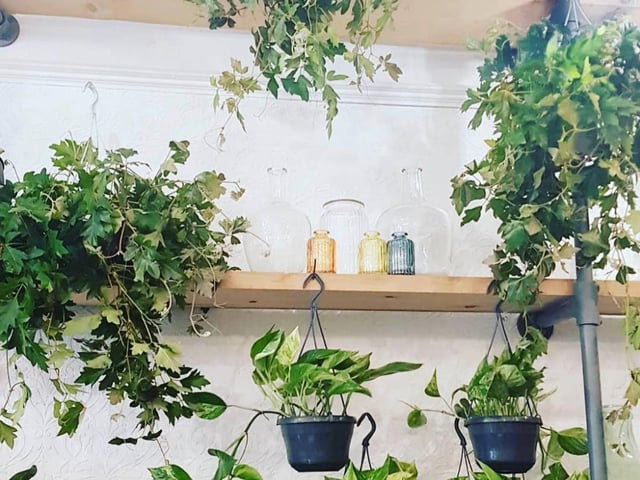 Rose & Ammi has always been a favourite among locals for its botanical beauties. With everything from enormous elephant ear plants to dangling donkey tail succulents, the shop is unsurprisingly beloved by Edinburgh plant parents for its range of rare or lesser-known specimens. Alongside beautiful fittonias, forest cacti and crocodile ferns, you'll find botanical-infused candles, flowers and sweet treats.

2 Gillespie Cres, Edinburgh EH10 4HT